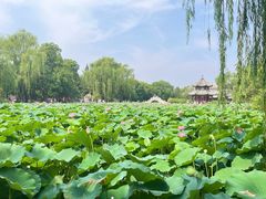 -莲池书院博物馆