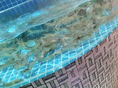 -蓝珊甄选海鲜自助·火锅大排档(近阿那亚店)