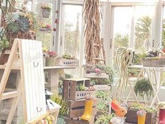 -深圳市中科院仙湖植物园