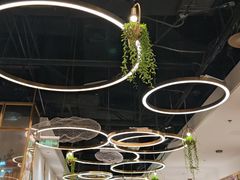 -东方饺子王(新奥购物中心店)