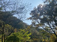 -本溪汤沟绿石谷森林公园