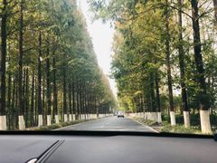 -黄海国家森林公园