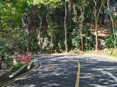 -深圳仙湖植物园