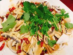 凉拌松茸-红豆园(文林街店)