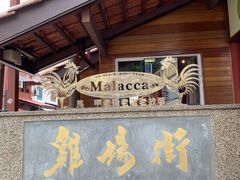 -马六甲鸡场街