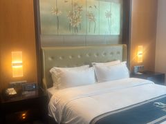 -成都明宇丽雅饭店