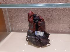 -抱璞文化展示中心