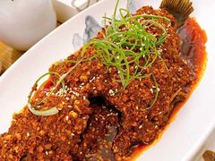 普洱茶炝锅鱼-云里小坐·小院里·团建·宴请·下午茶(三圣乡店)