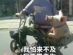 -汇景海鲜店