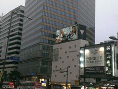 -乐天免税店(明洞店)