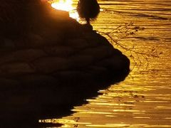 -厦门国家会计学院