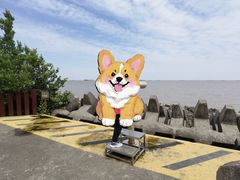 -上海滨江森林公园