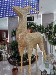 -五洲金行FIDIMO(五洲黄金大厦店)