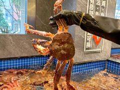 -东海怡品海鲜豆捞(舟宿夜江店)