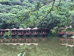 -李小龙乐园(顺德均安店)