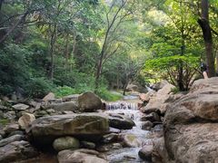-百泉山景区餐厅