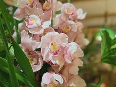 -春暖花开(西溪店)