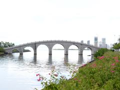 -万绿园