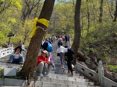 -九鼎铁刹山风景区