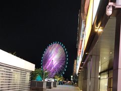 -琴岛之星摩天轮