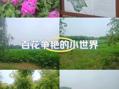 -东郊湿地公园