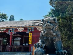 -香山公园