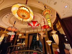 -拉斯维加斯永利酒店