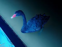 -春晖园度假酒店温泉