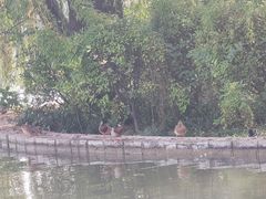 -洛阳市隋唐城遗址植物园