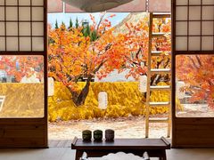 -Blue Concept Cafe&Farm·關於藍