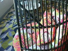 -上海外滩英迪格酒店