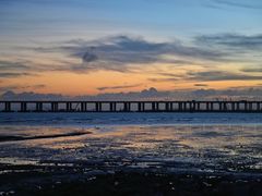 -宝安西湾红树林湿地公园