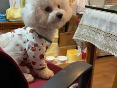 -哥老官重庆美蛙鱼头(西湖银泰十一哥店)