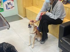 -中农大我爱我爱动物医院·核磁CT·猫病·24小时夜诊中心(石佛营店)