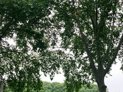 -河南省黄河迎宾馆