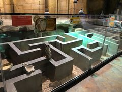 -zoonana室内动物园(东方福来德店)