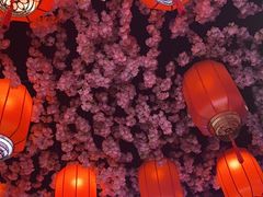 -杨记齐齐哈尔烤肉(总店)