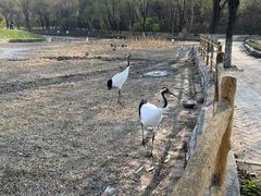 -哈尔滨北方森林动物园