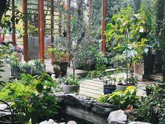 -谷咖啡·鲜花绿植花园餐厅