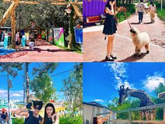 -水上乐园·欢乐世界