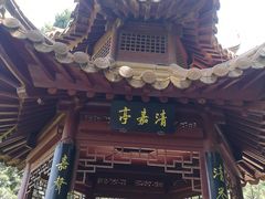 -嘉定紫藤园
