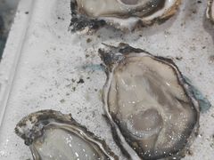 -蚝哥花姐湛江烤生蚝(美丽湾市场店)