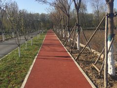 -永定河休闲森林公园