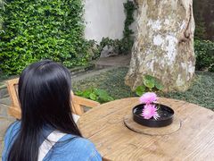 -鲤院·新中式美学·庭院餐厅(夫子庙店)