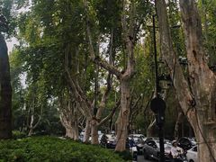 -杭州西子湖四季酒店·金沙厅