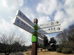 -宜兴龙背山森林公园