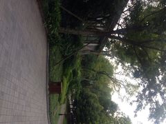 iphone_upload_pic-青城道汤池