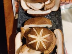 -新哥老官·畅吃123·美蛙世界(苏宁广场店)