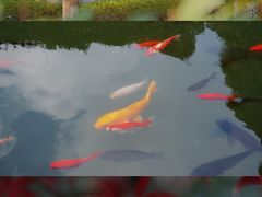 -宁波市保国寺古建筑博物馆