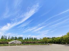 景点-上海海湾国家森林公园